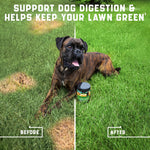 Load image into Gallery viewer, Green Lawn Chews for Dogs   Cranberry ACV Digestive Enzymes   Natural Dog Urine
