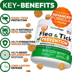 Load image into Gallery viewer, 2 Pack Insects Prevention for Dogs Pills 340 Chews Natural Dog Insects Control Oral Defense Treatment for Dogs Supplement Vet Formulated All Breeds &amp; Ages