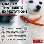 Load image into Gallery viewer, Orange Ultra Soft Rolled Leather Dog Collar for XSmall Dogs 10 - 13 inch Neck