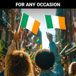 Load image into Gallery viewer, G128 2 Pack: Ireland Irish Car Flag  11x17 In  Double LiteWeave Pro Series Double Sided Printed 150D Polyester  Flagpole Included  Perfect for Festival Celebrations, Parades