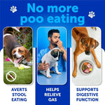 Load image into Gallery viewer, No Poo Chews for Dogs Puppy Coprophagia Stool Eating Deterrent Prevent Dog from