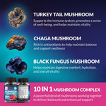 Load image into Gallery viewer, Lion's Mane Gummies for Mental Clarity Reishi and Cordyceps Blend 60 Chews