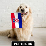 Load image into Gallery viewer, G128 50 Pack Handheld Croatia Croatian Stick Flags  12x18 In  Printed 150D Polyester, Country Flag, Solid Wooden Stick, Spear Gold Tip