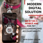 Load image into Gallery viewer, Pink Long Lasting Leather Dog Collar Adjustable for Medium Dogs 1215 inch Neck