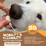 Load image into Gallery viewer, Joint Supplement for Dogs 90 Pills Turmeric for Dogs Plus Fish Oil Glucosamine