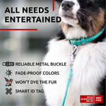 Load image into Gallery viewer, WAUDOG Ultra Soft Rolled Leather Dog Collar for Small Dogs Soft Padded Dog Collars for Medium Dogs Puppy Collars for Large Breed Dogs Male and Female Dog Collar