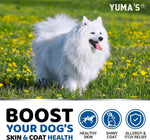 Load image into Gallery viewer, 2 Pack Omega 3 Fish Oil for Dogs Skin and Coat Supplement Dry Itchy Skin Relief