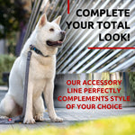 Load image into Gallery viewer, WAUDOG Recycled Cotton Dog Leash 6 Ft 10 Ft Eco Friendly Collar for Small Medium &amp; Large Dogs Reflective Dog Leash for Medium Dogs Strong Leashes for Large Breed Dogs Puppy Leash for Small Dogs
