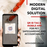 Load image into Gallery viewer, Orange Ultra Soft Rolled Leather Dog Collar for XSmall Dogs 8 - 10 inch Neck