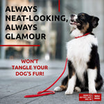 Load image into Gallery viewer, Rolled Leather Dog Leash 4 ft x 0.5 in All Sizes Red
