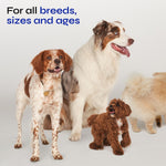 Load image into Gallery viewer, Canine Supplement Soft Chews for Dogs Glucosamine Hip Joint Support