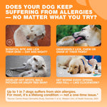 Load image into Gallery viewer, Dog Allergy Relief Chews  Itch Relief for Dogs  180 Allergy Chews for Itching Skin with Probiotics, Colostrum, Salmon Oil  Allergy, Skin and Coat, Immune, Digestion Support Supplement  Hot Spots
