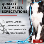Load image into Gallery viewer, WAUDOG Rolled Leather Dog Leash 4Ft * 0.4 in for Small Medium and Large Dogs Heavy Duty Leather Puppy Leash for Outdoor Walking Running Training Strong Dog Leashes for Large Breed Dogs (Blue)