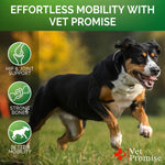 Load image into Gallery viewer, Hemp Hip and Joint Support Supplement for Dogs Glucosamine for Dogs 120 Chews