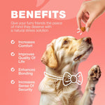 Load image into Gallery viewer, Dog Insects Treatment Chews Prevention for Dogs Natural Dog Insects Control