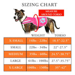 Load image into Gallery viewer, Reflective Dog Vest Hi-Vis Multiple Colors On/Off Leash