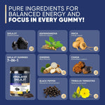 Load image into Gallery viewer, Shilajit Gummies 1000mg, Shilajit Gummies for Men and Women, Energy, Immunity