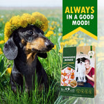Load image into Gallery viewer, Dog Rawhide Sticks Wrapped with Chicken Pet Natural Chew Treats Grain Free Snack