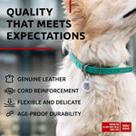 Load image into Gallery viewer, Rolled Leather Dog Collar Padded All Sizes 15-19 in Mint Color