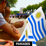 Load image into Gallery viewer, G128 50 Pack Handheld Uruguay Uruguayan Stick Flags  12x18 In  Printed 150D Polyester, Country Flag, Solid Wooden Stick, Spear Gold Tip