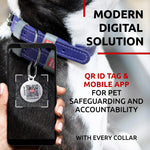 Load image into Gallery viewer, Purple Long Lasting Leather Dog Collar for Medium Dogs 1215 inch Neck