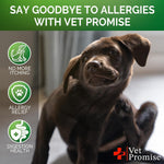 Load image into Gallery viewer, 2 Pack Dog Allergy Chews Itch Relief for Dogs Allergy Relief Anti Itch 240 Pcs