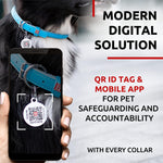 Load image into Gallery viewer, Ultra Soft Rolled Leather Dog Collar for Small Dogs   Soft Padded Dog Collars