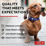 Load image into Gallery viewer, Purple Long Lasting Leather Dog Collar for XSmall Dogs 811 inch Neck x 1/2 inch