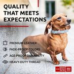 Load image into Gallery viewer, Long Lasting Leather Dog Collar for Large Dogs Medium &amp; Small Dogs Adjustable Classic Puppy Collars for Large Breed Dogs Boy &amp; Girl Dog Collars with Durable Buckle D Ring &amp; QR Dog Tag