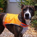 Load image into Gallery viewer, Lite Dog Vest Chest Size 26 Inch Neck Size 21 inch Coverage to Mid Back M Size