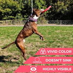 Load image into Gallery viewer, Dog Frisbee Toy Safe for Teeth Outdoor Floating Flying Disk for Small Medium Dog