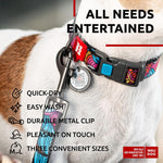 Load image into Gallery viewer, Nylon Dog Leash for Small Medium Dogs 4 Ft Strong Dog Leash Colorful Heavy Duty