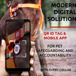 Load image into Gallery viewer, WAUDOG Waterproof Dog Harness Adjustable Dog Harness for Large Dogs Small and Medium Dogs Heavy Duty Dog Harness with Durable Metal Clasp and QR Dog Tag Boy &amp; Girl Dog Harness Orange (24 35in)