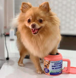 Load image into Gallery viewer, Paw Plunger Black 9.75 inch L x 7 inch W x 9.5 inch H Gentle Paw Cleaner to Keep Your Home and Car Dirt-Free