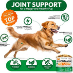Load image into Gallery viewer, 2 Pack Glucosamine for Dogs 340 Mobility Chews Advanced Hip and Joint Supplement for Dogs Glucosamine Chondroitin MSM Joint Pain Relief