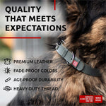 Load image into Gallery viewer, Long Lasting Leather Dog Collar for Large Dogs Medium &amp; Small Dogs Adjustable Classic Puppy Collars for Large Breed Dogs Boy &amp; Girl Dog Collars with Durable Buckle D Ring &amp; QR Dog Tag