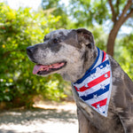 Load image into Gallery viewer, 4th of July Dog Bandana for Large and Small Pets. Reflective Accessories for Walking Camping and Off Leash Exploration 2 Pack.