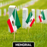 Load image into Gallery viewer, G128 30 Pack Handheld Mexico Mexican Stick Flags  12x18 In  Printed 150D Polyester, Country Flag, Solid Wooden Stick, Spear Gold Tip
