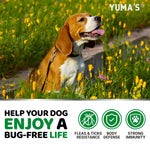 Load image into Gallery viewer, Flea and Tick Prevention for Dogs Chewables 170 Treats Natural Dog Flea and Tick Treatment Chewable Flea and Tick Chews for Dogs Soft Oral Flea Pills for Dogs All Breeds &amp; Ages Made in USA