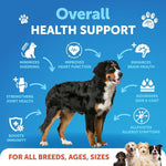 Load image into Gallery viewer, Omega 3 Fish Oil for Dogs 8 FL OZ Better Than Salmon Oil Skin and Coat Defense