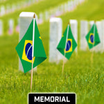 Load image into Gallery viewer, G128 12 Pack Handheld Brazil Brazilian Stick Flags  12x18 In  Printed 150D Polyester, Country Flag, Solid Wooden Stick, Spear Gold Tip