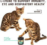 Load image into Gallery viewer, Lysine Cat Treats Immune Support Respiratory &amp; Eye Health