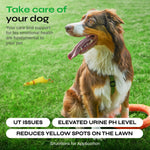 Load image into Gallery viewer, Dog Urine Neutralizer for Lawn Grass Burn Spot Chews Dog Pee Grass Spot Saver