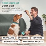 Load image into Gallery viewer, Calming Chews for Dog Anxiety Relief Calming Treats for Dogs Stress Separation