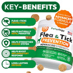 Load image into Gallery viewer, Insects Prevention for Dogs Pills Natural Dog Insects Control 170 Soft