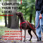 Load image into Gallery viewer, WAUDOG Waterproof Dog Leash 4 Ft 6 Ft Anti Slip Dog Leash for Large Dogs Small and Medium Dogs Heavy Duty Dog Leash with Water and Dirt Resistant Long Or Short Dog Leashes for Boy &amp; Girl Dogs