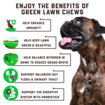 Load image into Gallery viewer, Green Lawn Chews for Dogs   Cranberry ACV Digestive Enzymes   Natural Dog Urine