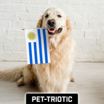 Load image into Gallery viewer, G128 24 Pack Handheld Uruguay Uruguayan Stick Flags  12x18 In  Printed 150D Polyester, Country Flag, Solid Wooden Stick, Spear Gold Tip