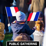Load image into Gallery viewer, G128 30 Pack Handheld France French Stick Flags  12x18 In  Printed 150D Polyester, Country Flag, Solid Wooden Stick, Spear Gold Tip