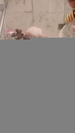 Load image into Gallery viewer, Bath Exfoliating Gloves for Sphynx Hairless Cats Carbonized Bamboo Body Scrub